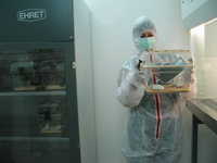 p.o Dyrektora - lek. wet. Grazyna Peszyńska-Sularz