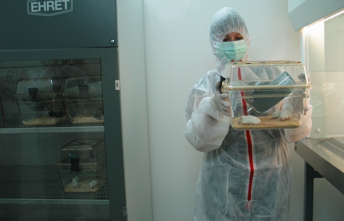 Sprowadzanie zwierząt