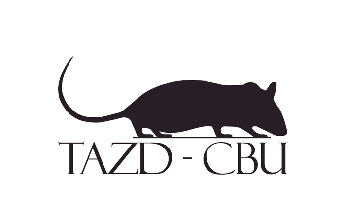 Mysi model mukopolisacharydozy typu I